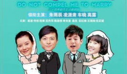 别逼我结婚电视剧