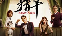 猎隼电视剧,揭秘特工世界，生死较量中的忠诚与信仰