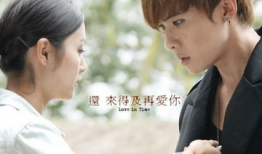 还来得及再爱你 电视剧,跨越时光的深情守候