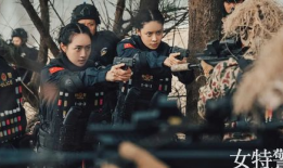 女特警电视剧,守护正义的铿锵玫瑰
