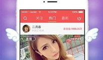 91AV直播app,揭秘热门直播平台的魅力与争议