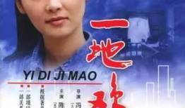 一地鸡毛电视剧