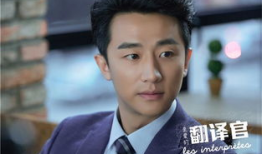 翻译官电视剧,跨越语言的桥梁，演绎爱情与梦想的交响曲