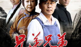 兄弟兄弟电视剧,情义与命运的交织