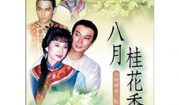 电视剧八月桂花香,民国风云中的爱情传奇