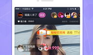 91AV直播app,揭秘热门直播平台的魅力与争议