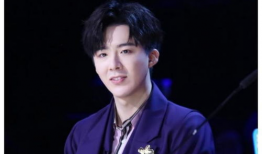 刘宇宁电视剧,演绎传奇人生，电视剧中的璀璨星光