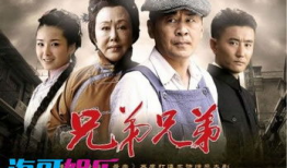 兄弟兄弟电视剧,情义与命运的交织