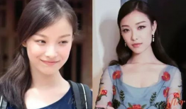 网红与明星的差距,数字时代的身份差异解析