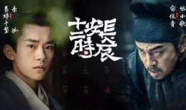 长安十二时辰电视剧,揭秘盛唐风云下的生死较量