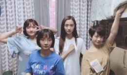 学生的电视剧,梦想与现实的交织