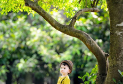 丽江小麻豆摄影,捕捉古城光影的摄影艺术之旅