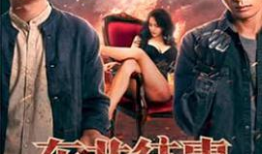 东北往事电视剧,热血青春的岁月印记