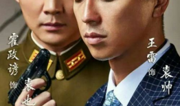 王雷主演的电视剧,情感纠葛与命运抉择