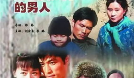 东北电视剧,笑谈人生——东北电视剧魅力解析