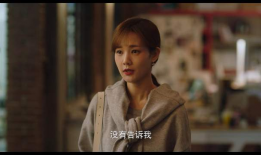 姐姐电视剧,揭秘亲情纠葛，演绎人生百态