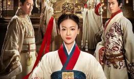 茅子俊演过的电视剧,从古装侠客到现代精英，演绎多变角色