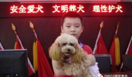 瑞安91电台视频直播,瑞安91电台直播精彩瞬间回顾