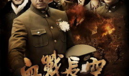 电视剧战争剧,抗战英雄的壮丽征程