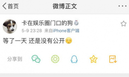 沈阳吃瓜爆料公众号,揭秘本地热点事件幕后真相