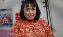 李菁菁电视剧,情感纠葛与人生抉择