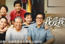 我爱我家电视剧,温馨家庭喜剧的温馨岁月