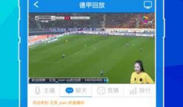 91tvapp直播器下载不了,原因及解决方案