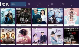 91直播tv 破解版,畅享无限制观看体验的秘密武器