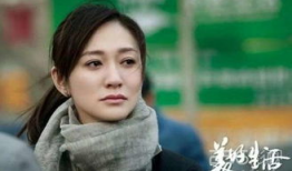 李小冉主演的电视剧,情感纠葛与命运抉择