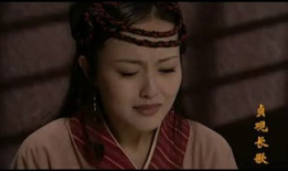 贞观长歌电视剧,盛世英豪与千古传奇的宫廷风云