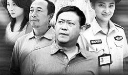 警察故事电视剧,英勇无畏，正义之战