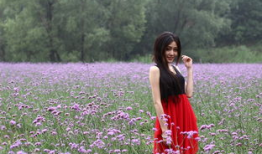 唐麻豆,探寻古代丝绸之路上的一颗璀璨明珠