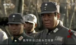 中国地电视剧,中国电视剧的魅力之旅