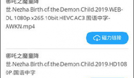 91直播外流磁力链,追踪网络直播内容的传播秘密